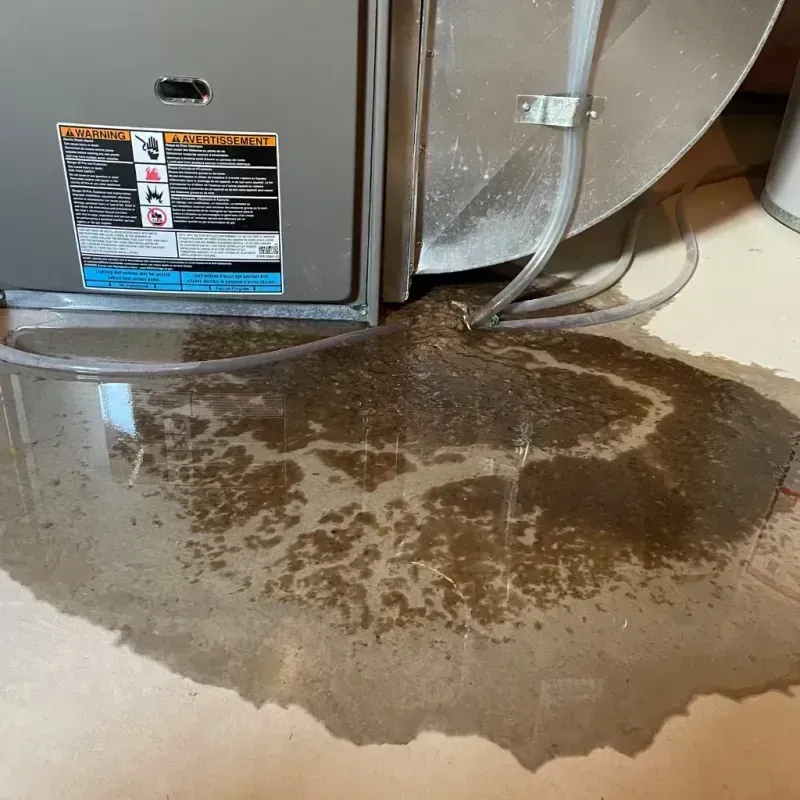 Appliance Leak Cleanup in Holgate, OH